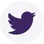 twitter-logo